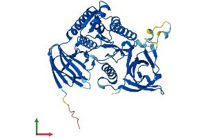 Protein Structure (PS) image for Cleavage and Polyadenylation Factor I Subunit 1 (CLP1) (AA 1-425) protein (His tag) (ABIN7564895)