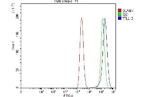 Flow Cytometry analysis of Caco-2 cells using anti-TTLL12 antibody (ABIN7602497). (TTLL12 抗体  (AA 8-634))