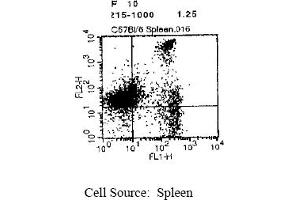 Representative Dot Plot (CD8 抗体  (Biotin))