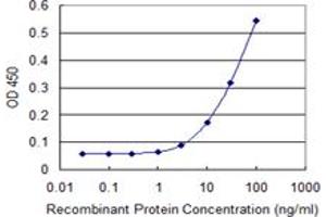 Detection limit for recombinant GST tagged TSC2 is 1 ng/ml as a capture antibody. (Tuberin 抗体  (AA 540-658))