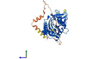 Protein Structure (PS) image for Ribosomal Modification Protein RimK-Like Family Member B (RIMKLB) (AA 1-386) protein (His tag) (ABIN7551415)