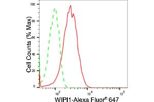 Flow cytometric analysis of WIPI1 expression in HepG2 cells using WIPI1 antibody (ABIN7800858), 1:2,000).