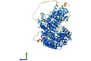 Protein Structure (PS) image for NLR Family, Pyrin Domain Containing 12 (NLRP12) (AA 1-1054) protein (His tag) (ABIN7562128)