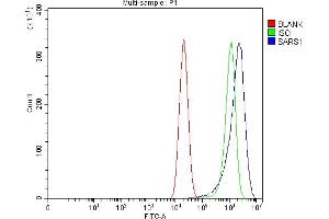 Flow Cytometry analysis of Caco-2 cells using anti-Seryl-TRNA Synthetase/SERS/SARS1 antibody (ABIN7602365). (Seryl-tRNA Synthetase (SARS) (AA 71-483) 抗体)