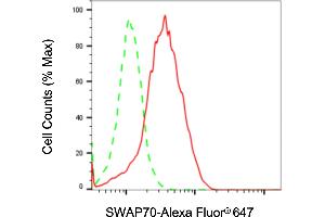 Flow cytometric analysis of SWAP70 expression in Raji cells using SWAP70 antibody (ABIN7800474), 1:2,000). (SWAP70 抗体)