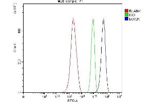 Flow Cytometry analysis of ANA-1 cells using anti-ADAR1/ADAR antibody (ABIN7603211). (DDX3X 抗体  (N-Term))