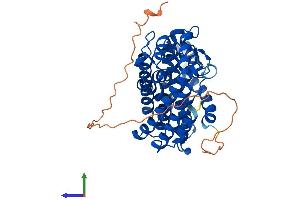 AlphaFold protein structure predicition of Human Recombinant FDPS Protein, UniprotID P14324