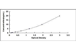 Typical standard curve