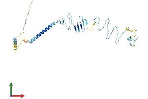 AlphaFold protein structure predicition of Human Recombinant SGCB Protein, UniprotID Q16585