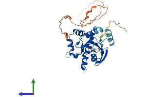Protein Structure (PS) image for GTPase, IMAP Family Member 6 (GIMAP6) (AA 1-305) protein (His tag) (ABIN7559533)