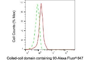 Flow cytometric analysis of Coiled-coil domain containing 93 expression in HeLa cells using Coiled-coil domain containing 93 antibody (ABIN7798115), 1:1,000).