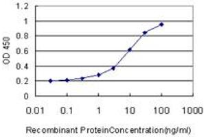 Detection limit for recombinant GST tagged GOLGA5 is approximately 0. (GOLGA5 抗体  (AA 2-99))