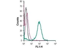 Cell surface detection of EphA6 in live intact human THP-1 monocytic leukemia cells: (black line) Cells. (EPH Receptor A6 抗体  (Extracellular, N-Term))