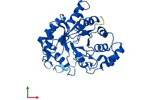 Protein Structure (PS) image for Aldo-Keto Reductase Family 1, Member C3 (3-alpha Hydroxysteroid Dehydrogenase, Type II) (AKR1C3) (AA 1-323) protein (His tag) (ABIN7552015)