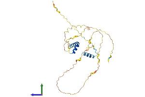 Protein Structure (PS) image for Frequently Rearranged in Advanced T-Cell Lymphomas (FRAT1) (AA 1-279) protein (His tag) (ABIN7547782)