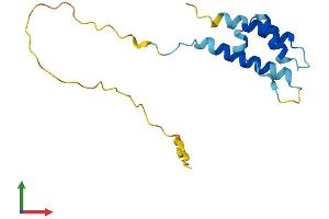 Protein Structure (PS) image for Protein Phosphatase 1, Regulatory (Inhibitor) Subunit 14D (PPP1R14D) (AA 1-145) protein (His tag) (ABIN7550845)