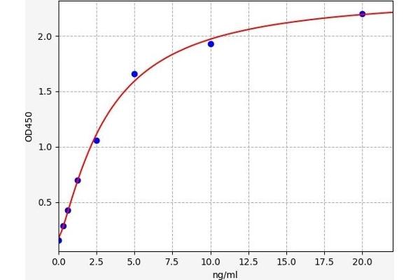 AP2B1 ELISA 试剂盒