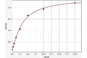 Typical standard curve (AP2B1 ELISA 试剂盒)