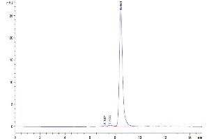 Size-exclusion chromatography-High Pressure Liquid Chromatography (SEC-HPLC) image for Secreted Protein, Acidic, Cysteine-Rich (Osteonectin) (SPARC) (AA 18-303) protein (His tag) (ABIN7275639)