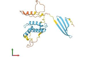 AlphaFold protein structure predicition of Mouse Recombinant Dnajb8 Protein, UniprotID Q9QYI7