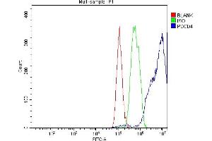 Flow Cytometry analysis of HepG2 cells using anti-PDCD4 antibody (ABIN5518943). (PDCD4 抗体  (AA 346-446))
