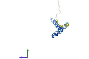 Protein Structure (PS) image for Catenin, beta Interacting Protein 1 (CTNNBIP1) (AA 1-81) protein (Fc Tag) (ABIN7546601)
