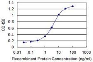 Detection limit for recombinant GST tagged GPR161 is 0. (GPR161 抗体  (AA 362-460))