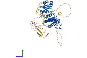 Protein Structure (PS) image for Dual Specificity Phosphatase 10 (DUSP10) (AA 1-483) protein (His tag) (ABIN7561481)
