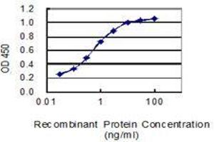 Detection limit for recombinant GST tagged AVP is 0. (Vasopressin 抗体  (AA 20-124))