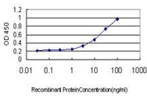 Detection limit for recombinant GST tagged GREM1 is approximately 1ng/ml as a capture antibody. (GREM1 抗体  (AA 75-184))