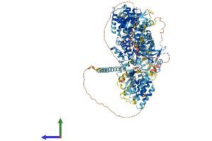 Protein Structure (PS) image for Mitogen-Activated Protein Kinase Kinase Kinase 6 (MAP3K6) (AA 1-1291) protein (His tag) (ABIN7565206)