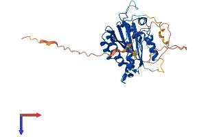 Protein Structure (PS) image for BRISC and BRCA1 A Complex Member 1 (BABAM1) (AA 1-333) protein (His tag) (ABIN7563723)