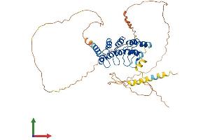 Protein Structure (PS) image for Ankyrin Repeat Domain 10 (ANKRD10) (AA 1-420) protein (His tag) (ABIN7552283)