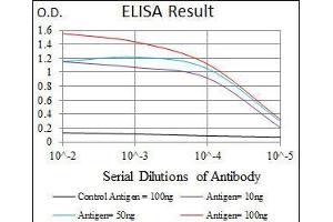 Black line: Control Antigen (100 ng), Purple line: Antigen(10 ng), Blue line: Antigen (50 ng), Red line: Antigen (100 ng), (PAX5 抗体  (AA 235-382))