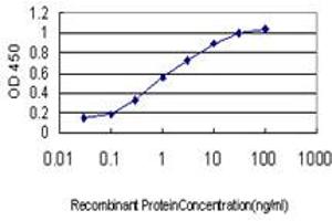 Detection limit for recombinant GST tagged CAPZB is approximately 0. (CAPZB 抗体  (AA 192-272))