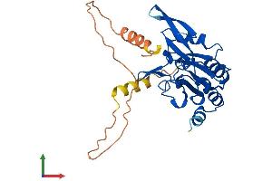 Protein Structure (PS) image for CTD (Carboxy-terminal Domain, RNA Polymerase II, Polypeptide A) Small Phosphatase 2 (CTDSP2) (AA 1-271) protein (His tag) (ABIN7546885)