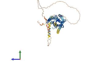 Protein Structure (PS) image for Prostaglandin E Receptor 4 (Subtype EP4) (PTGER4) (AA 1-488) protein (His tag) (ABIN7550675)