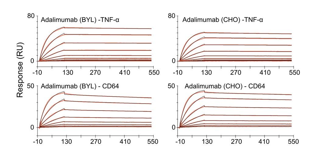 Case Study: Assessing Binding Affinity of Adalimumab Biosimilar