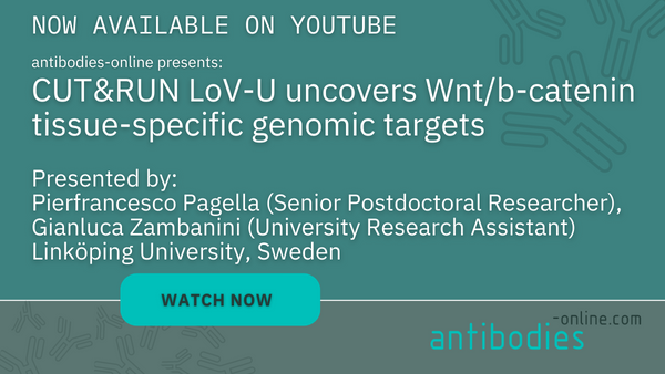 CUT&RUN LoV-U Webinar antibodies-online -Method Comparison