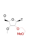 2-Methoxyethyl backbone-modified oligonucleotides